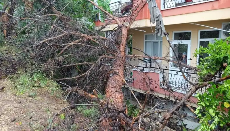 Yağmur Neden Oldu: Bina Çöktü ve Büyük Panik Yarattı