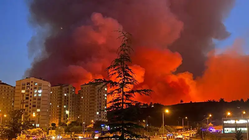 Bursa'daki Yangınlar: Şehri Tehdit Altında, Halk Tedirgin!