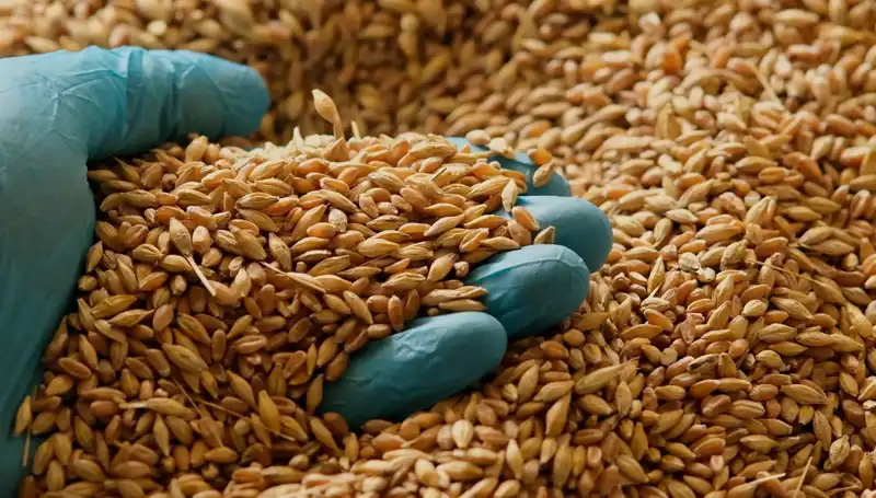 Kalp Hastalığı Riskini Azaltan Beslenme İpuçları Uzmanından Geldi