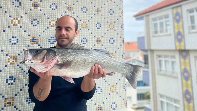 7,5 Kiloluk Dev Levrek Avı: Balıkçıların Yüzünü Güldüren Sefer