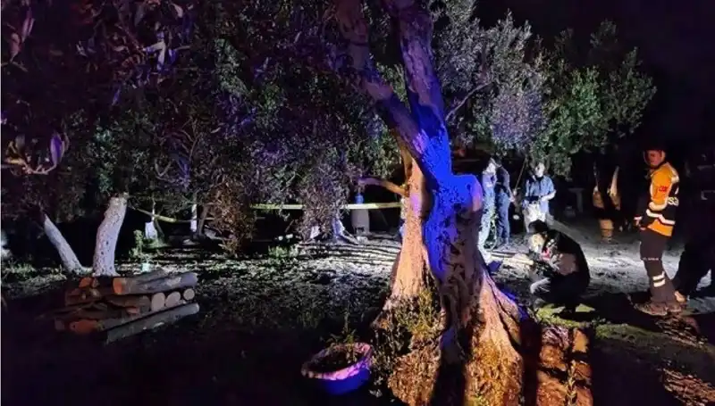 Çiftlikte Baltalı Vahşet: Tutuklama ve Olayın Ardındaki Gerçekler