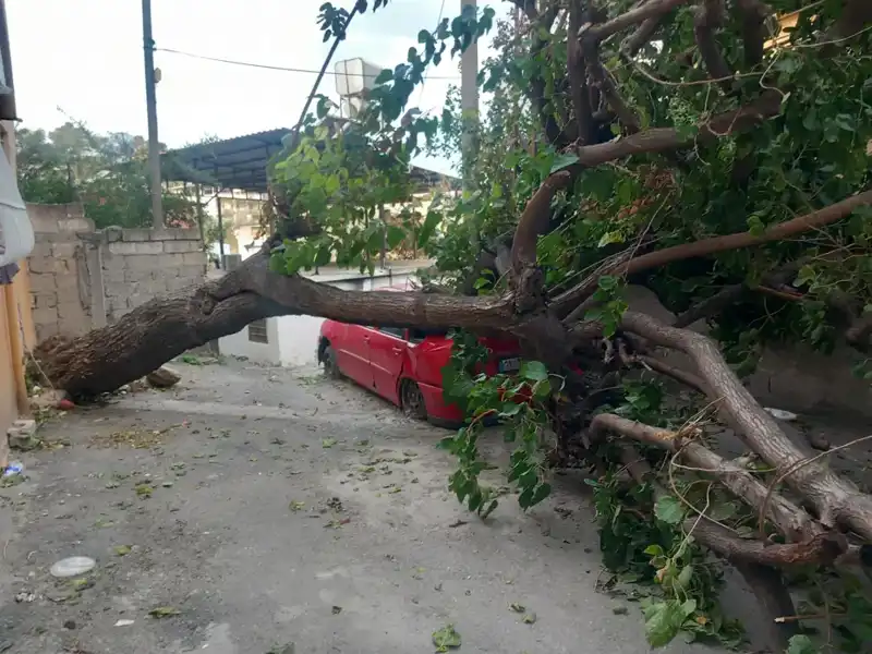 Hatay'daki Şiddetli Fırtına: Ağaçlar Devrildi, Çatılar Uçtu