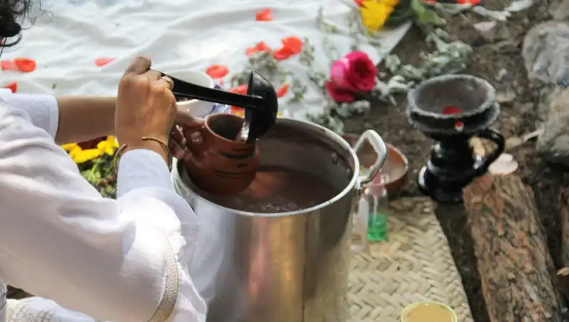 Ayahuasca Nedir? Yasak mı Yoksa Tedavi Aracı mı?