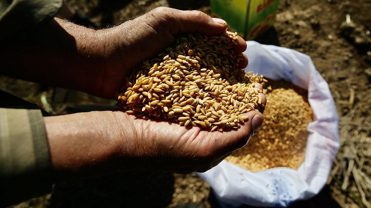 Ata Tohumları Tarım Kredi Marketlerinde Satışa Sunuldu