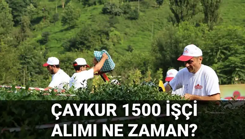 Çaykur İşçi Alımı Başvuru Tarihleri Açıklandı: İstihdam Fırsatları Neler?