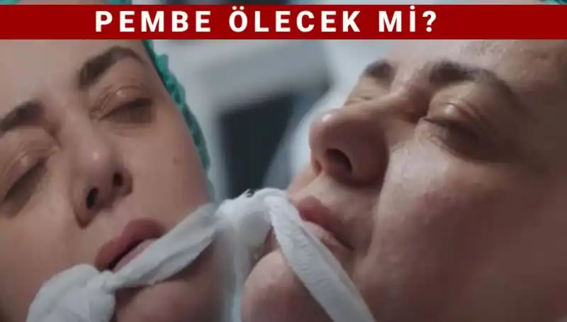 Kızılcık Şerbeti Dizisinde Pembe: Ayrılığın Ardındaki Gizemli Sebepler