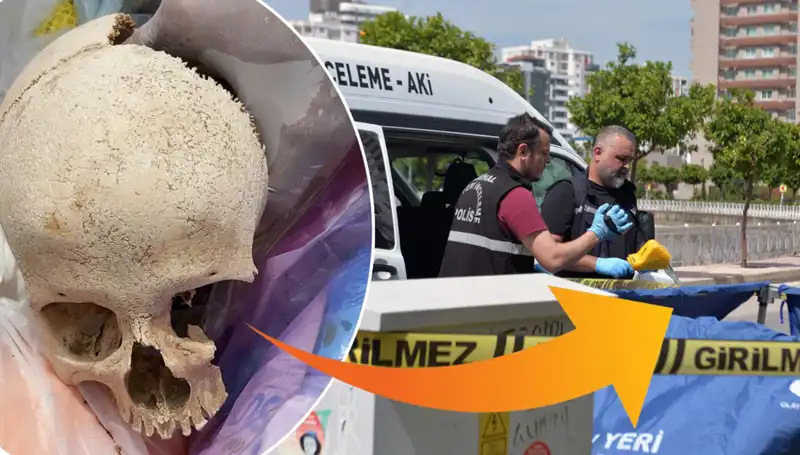 Sitenin Çöpünden Çıkan Kafatasının Gizemi: Uzman Doktor Tutuklandı