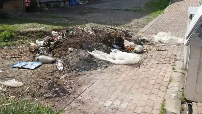 Antalya'da Kedi Katliamı: 10 Hayvanın Ölümü Şok Etti!