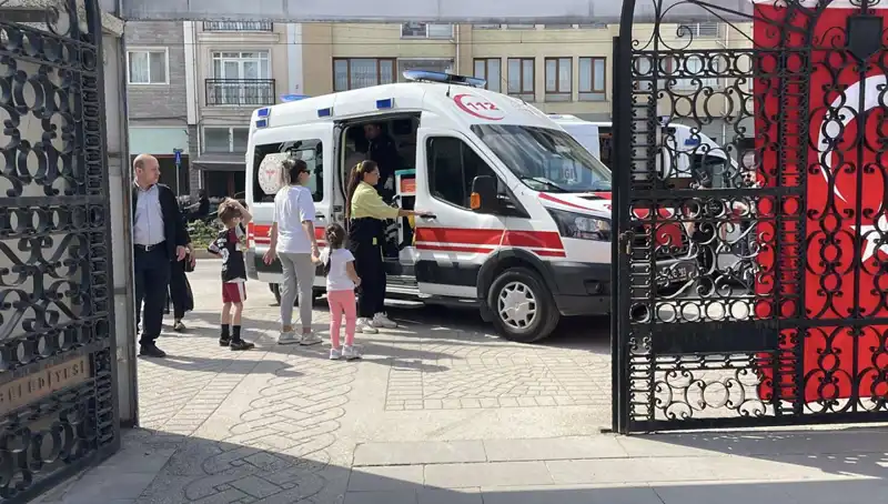 Eskişehir'de Sahipsiz Köpeklerin Çocuklara Saldırısı Tedirginlik Yarattı
