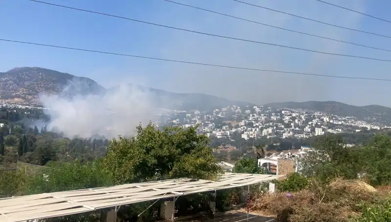 Muğla'daki Orman Yangınları Kontrol Altına Alındı: Son Durum ve Tedbirler