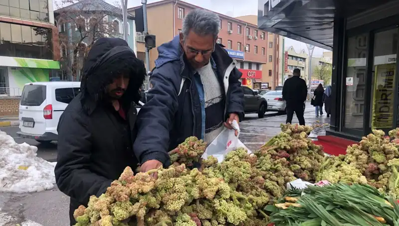Kendiliğinden Yetişen Bu Bitki Kanserle Savaşta Yeni Umut Olabilir