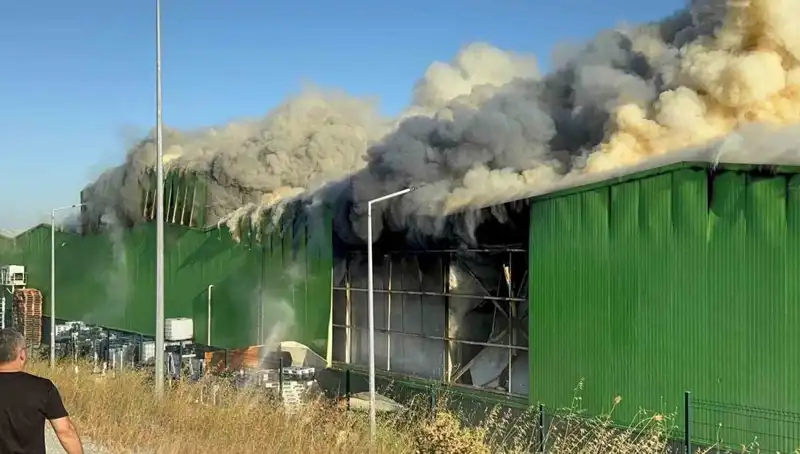 Balıkesir'de Fabrika Yangınında İki İşçi Hayatını Kaybetti: Bir Kişi Tutuklandı