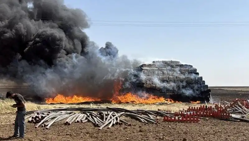 Mardin'de Anız Yangını: Doğaya Zarar Veren Felaketler