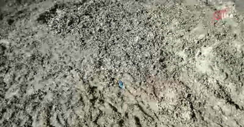 İstanbul'da Kayıp Çinli İş İnsanı Cinayeti: Gizemli Ölüm ve Gömülü Ceset