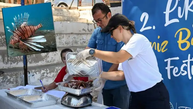 Antalya’da İstilacı Aslan Balığı Avlama Yarışması: Ekosistemin Korunmasına Katkı