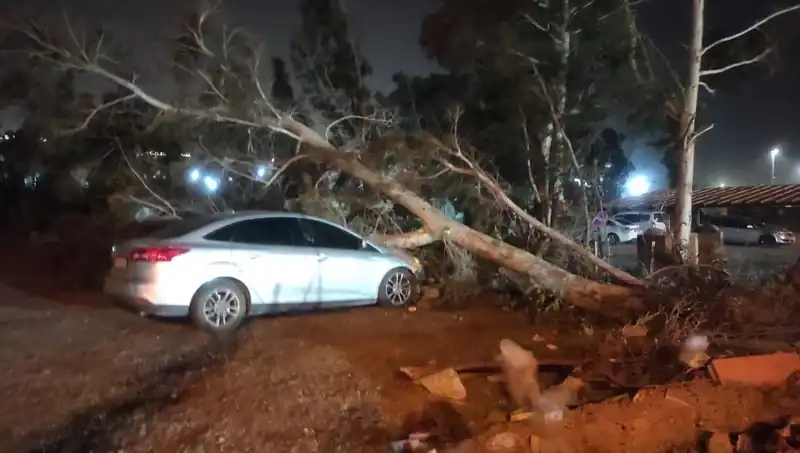 Hatay’da Beklenmedik Fırtına: Tekneler Alabora Oldu, Ağaçlar Devrildi!