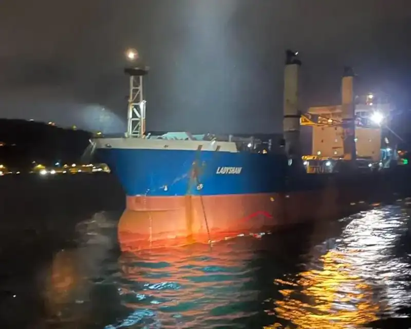 İstanbul Boğazı'nda Kuru Yük Gemisi Arızası: Denizde Kriz Anları