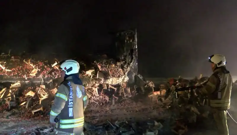 Çilek Yüklü TIR Alev Alev Yandı: 6 Ton Meyve Kül Olmak Üzere