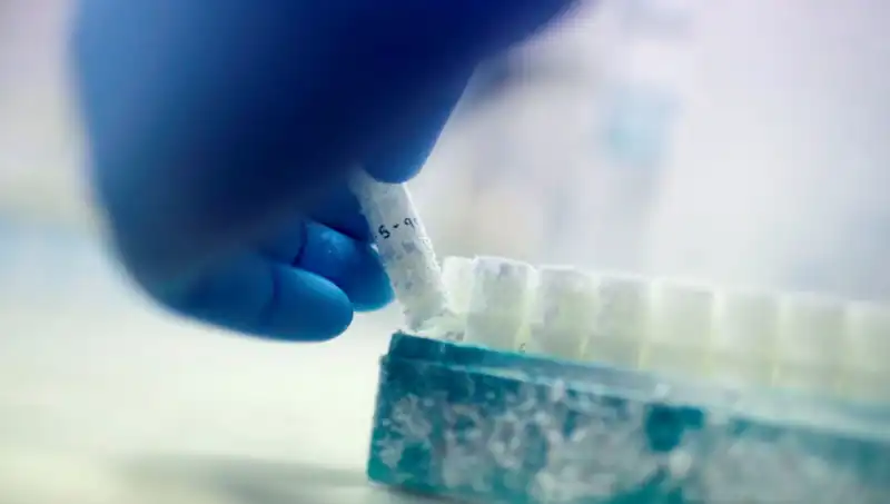 Türkiye'de Tıbbi Felaket: 85 Sperm Donörü, Binlerce Çocuğa Baba Oldu