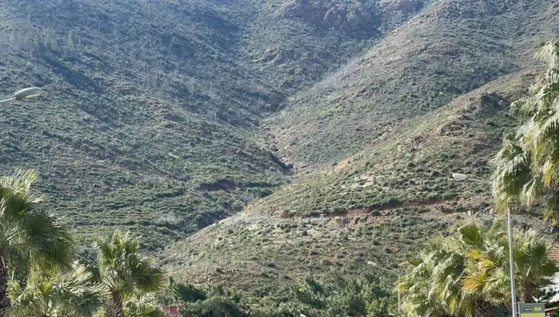 Marmaris Orman Yangınında Yeniden Yeşeren Umut: Tohumlar Fidana Dönüştü