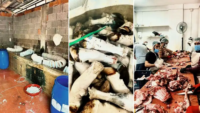 Adana'da Skandal: Yüzlerce Kilo Sağlıksız Paça Ele Geçirildi!