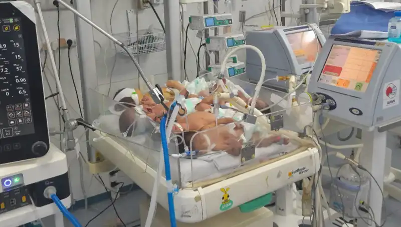Gazze'de Doktorlar Hayat Mücadelesi Veriyor: 'Aynı Kuvözde Birden Fazla Bebek'