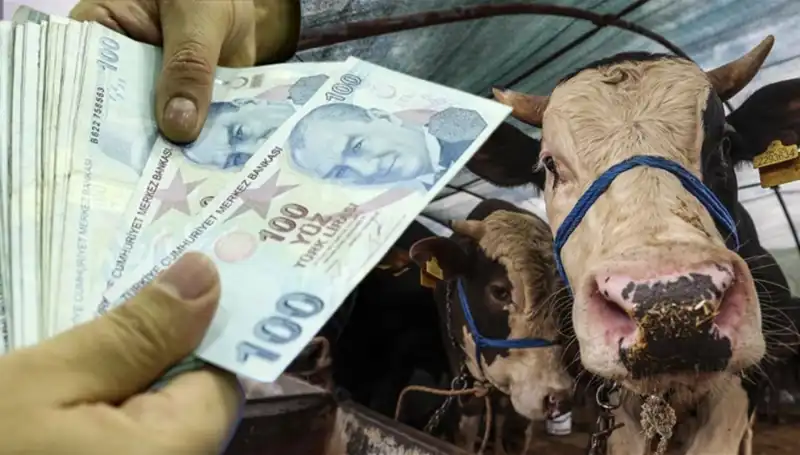 Memur ve Emekli Maaşları Bayramdan Önce Yatacak mı? Ödeme Tarihleri Açıklandı!