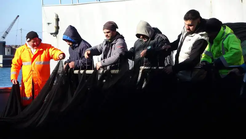 Hamsi Avında Şok Edici Sona Doğru: Tekneler Neden Erken Dönmeye Zorlandı?
