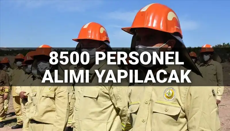 2025'te Tarım ve Orman Bakanlığı 8500 Personel Alımı Yapacak!