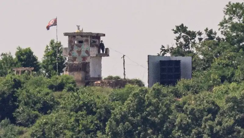 Kuzey Kore'den ABD'ye Yıllar Sonra İlk Zeytin Dalı: Diplomasi Umutları Yeşeriyor!