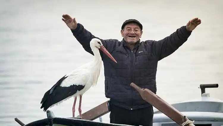 Yaren Leylek Geldi mi? Doğa Fotoğrafçısı Alper Tüydeş Yanıtlıyor