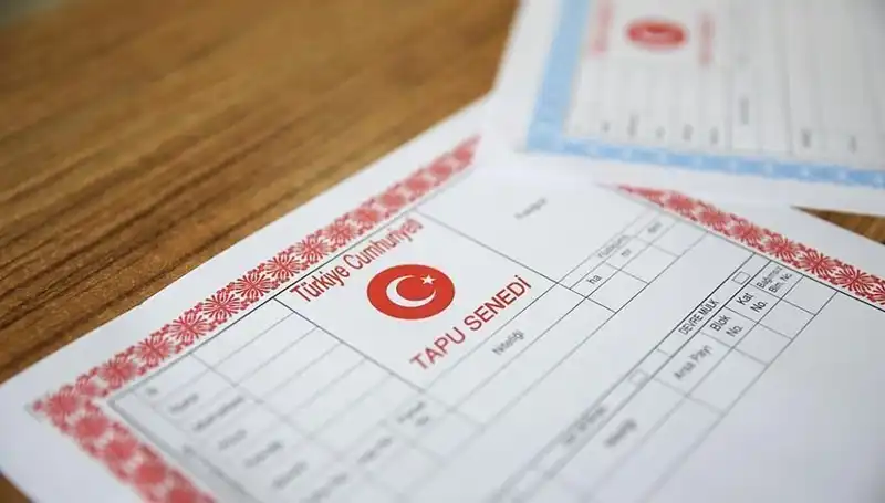 Türkiye'de 100 Milyonluk Hisseli Tapu Tuzağı İfşa Oldu