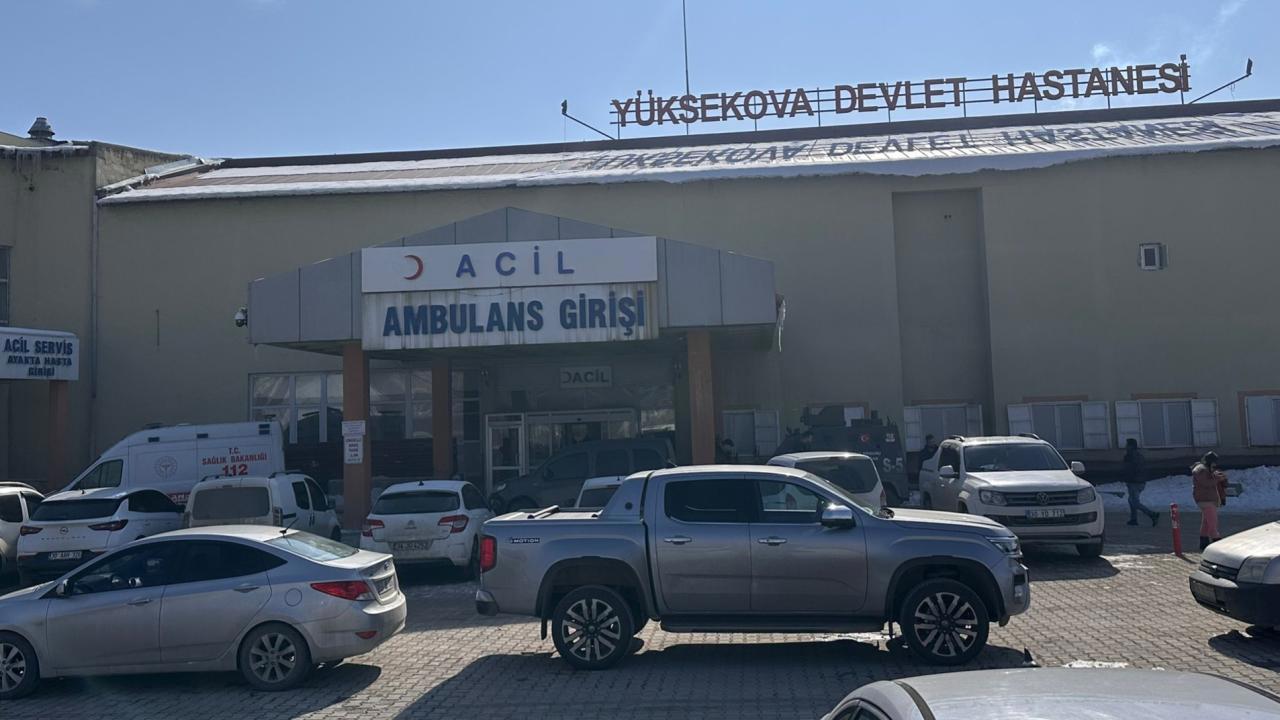 Müfettiş, başıboş köpeklerin saldırısı sonucu ölen çocuk olayını inceleyecek!