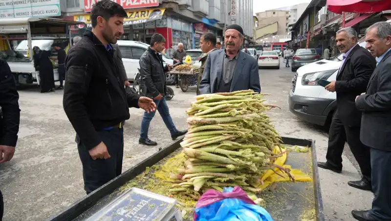 Dağlık Alanlardan Toplanan Şekerin Sağlık Faydaları ve Mide Hastalıkları Üzerindeki Etkileri