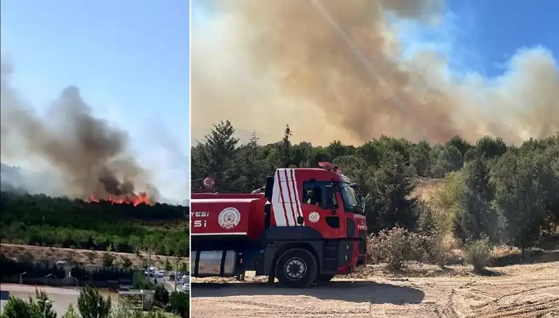 Gebze'de Büyüyen Orman Yangını, İtfaiye Ekipleri Seferber Oldu!