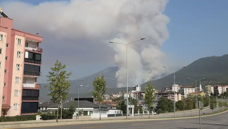 Denizli’deki Orman Yangını: Şüpheli Gözaltına Alındı, Ayrıntılar Ortaya Çıktı